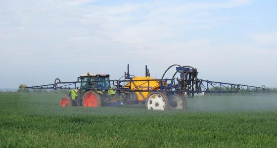 Basf mise sur ses fongicides phares et accroît ses capacités de production en conséquence.