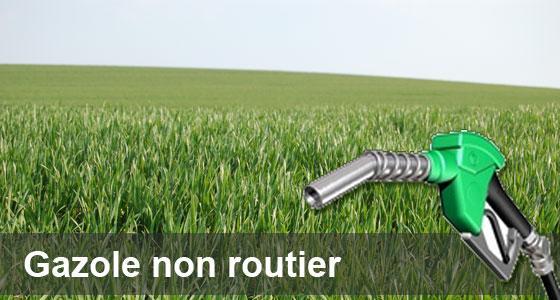 Club Gnr de Terre-net Média