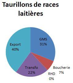Taurillons laitiers