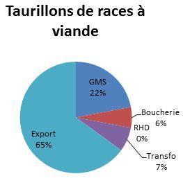 Taurillons races à viande