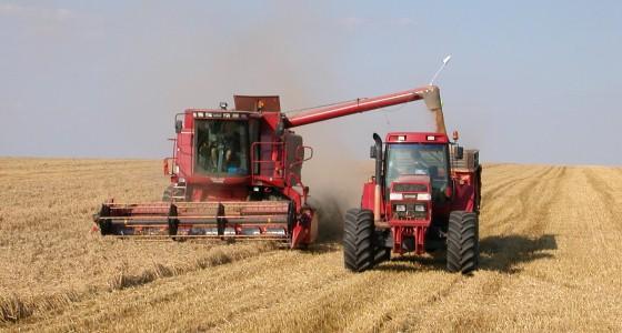 Prix payés aux producteurs de céréales