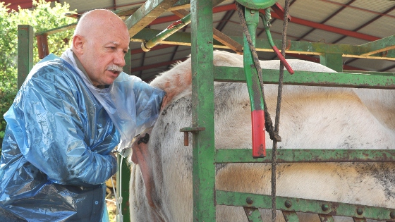 Jacques Manière Transplantation embryonnaire