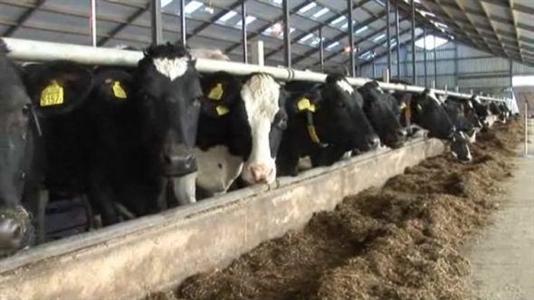 Alimentation animale