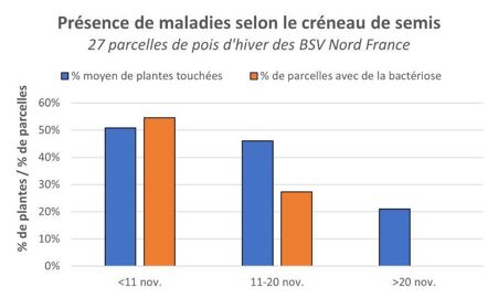Date de semis et maladies du pois d'hiver