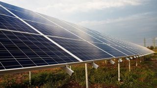 Les panneaux impactent la diversité de la prairie selon l'étude menée par Photosol, Inrae et JPEE. Les panneaux impactent la diversité de la prairie selon l'étude menée par Photosol, Inrae et JPEE.