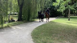 Les collectivités territoriales sont mises à contribution pour contrôler les infractions liées à la délinquance environnementale, qui restent peu punies aujourd’hui, selon une étude récente menée en Ile-de-France.