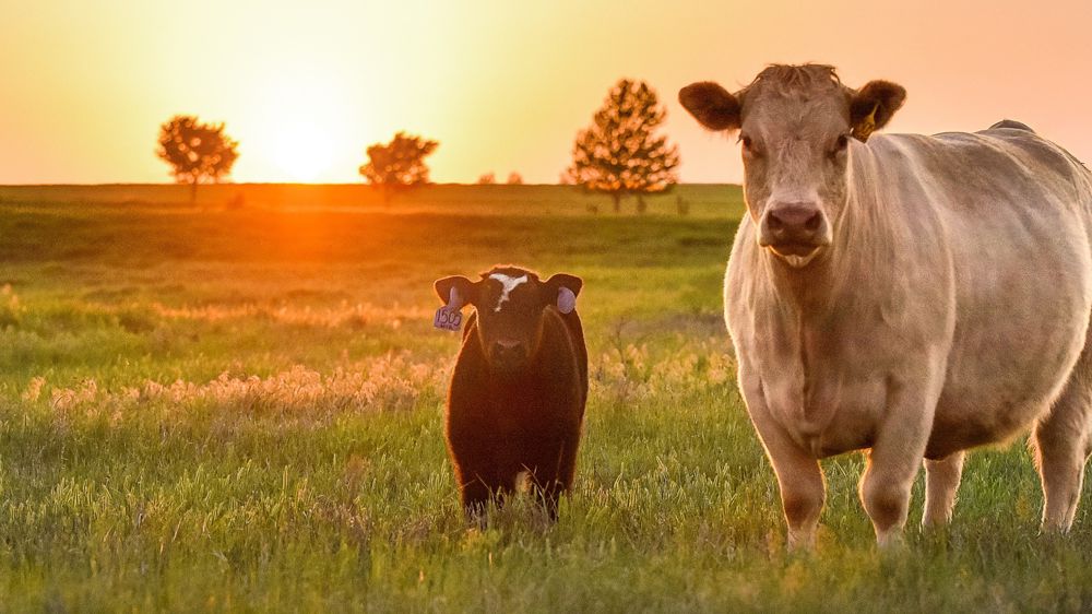 Optez pour la prévention ! 
