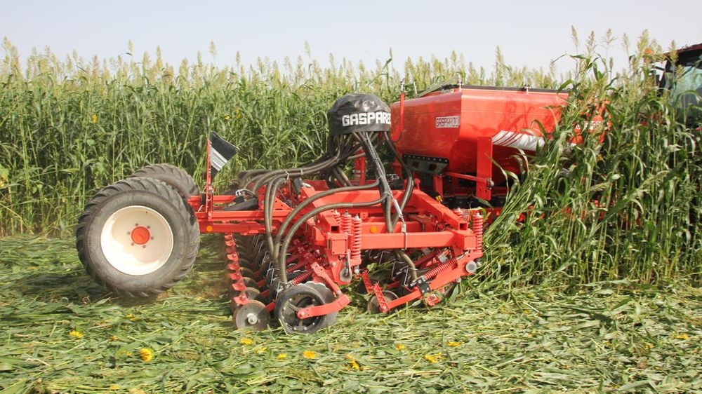Maschio Gaspardo propose du matériel de semis direct depuis les années 1990.
