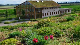 Entreprise basée à Broué (28) et spécialiste des toitures végétalisées, Ecovégétal a été sélectionnée au niveau national pour exporter plus et devenir ETI, entreprise de taille intermédiaire.
