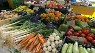 Le gouvernement souhaite soutenir les projets alimentaires territoriaux qui jouent un rôle clé dans la transition agricole et alimentaire. Le gouvernement souhaite soutenir les projets alimentaires territoriaux qui jouent un rôle clé dans la transition agricole et alimentaire.