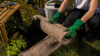 Capillum second prix Paysalia Innovations Awards 2023 : paillages et cheveux