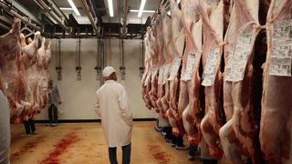 Les diagnostics territoriaux permettront aux gouvernances territoriales d'identifier les abattoirs qui ont besoin de soutiens financiers.