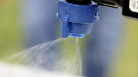 Générations futures a contesté les procédures de renouvellement du tébuconazole, du S-métolachlore, du prosulfocarbe, du chlortoluron et du flufénacet.