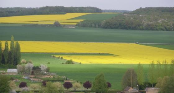 Terres agricoles