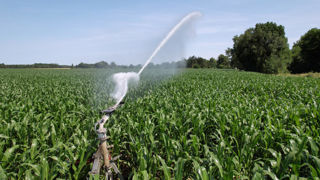 La France n'avait pas connu de situation « très favorable » des nappes phréatiques depuis l'hiver 2021.