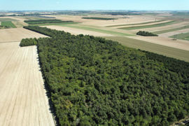 Des règles spécifiques s'appliquent en cas de vente d'une parcelle boisée de moins de 4 hectares. Des règles spécifiques s'appliquent en cas de vente d'une parcelle boisée de moins de 4 hectares.