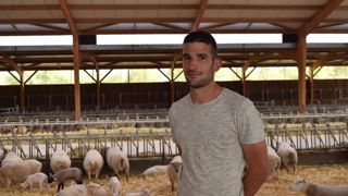 « Le traitement lumineux ne génère pas de charges alimentaires supplémentaires ; c’est aussi un avantage », estime Alexis Gratton.