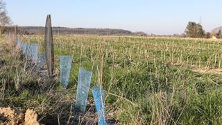 Parmi les mesures agroenvironnementales, la plantation de haies peut être financée. Parmi les mesures agroenvironnementales, la plantation de haies peut être financée.