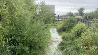 Les solutions fondées sur la nature permettent aux collectivités de proposer toujours plus d’espaces verts avec une irrigation limitée.