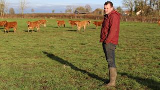 « La parcelle en “étoile” est proche de la stabulation, ce qui facilite l'embarquement des animaux après regroupement dans la parcelle parking », indique Aurélien Gout.