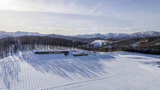 Une technique particulière permet de rabattre les ceps de vignes en hiver au nord du Japon afin de les protéger de la neige abondante. Une technique particulière permet de rabattre les ceps de vignes en hiver au nord du Japon afin de les protéger de la neige abondante.