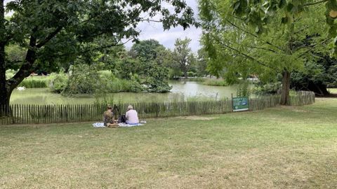 La ville de Pau (64) fait désormais partie des acteurs engagés dans le label EcoJardin. Elle compte un site labellisé à ce jour, la coulée verte du Laü (ou coulée de Pesquidoux).