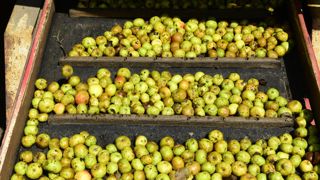 Les représentants de la filière cidricole ont rencontré le ministre de l’Agriculture, pour discuter de l’avenir du cidre. Les représentants de la filière cidricole ont rencontré le ministre de l’Agriculture, pour discuter de l’avenir du cidre.