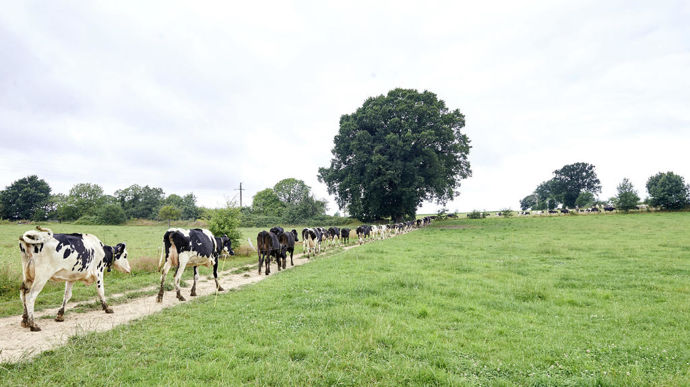 Le recul de l’élevage laisse à penser qu’une végétalisation du paysage breton est à l’oeuvre, mais elle ne se traduit toutefois pas pour l’instant dans les ventes d’appros ou dans les achats de collecte.
