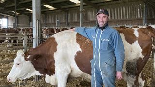 Selon Gaël Michenon, éleveur laitier en Haute-Saône, «compte tenu d'un manque de disponibilité, le fait de programmer tous les mois avec le technicien le lot des vaches à inséminer apporte de la tranquillité d'esprit». Selon Gaël Michenon, éleveur laitier en Haute-Saône, «compte tenu d'un manque de disponibilité, le fait de programmer tous les mois avec le technicien le lot des vaches à inséminer apporte de la tranquillité d'esprit».
