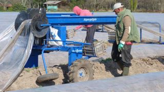 En 2022, 4 616 travailleurs étrangers ont été détachés en France pour travailler dans le secteur agricole. En 2022, 4 616 travailleurs étrangers ont été détachés en France pour travailler dans le secteur agricole.