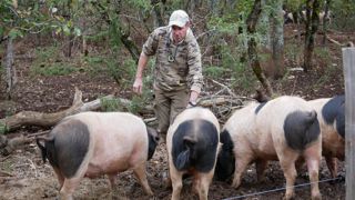 Eric Viaux élève des cochons cul noir du Limousin depuis quatre ans.