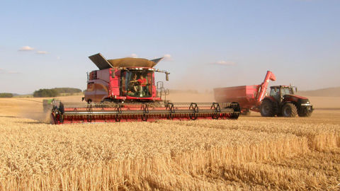 Selon le gouvernement britannique, les mesures annoncées sont « les plus importantes améliorations » de la politique agricole du Royaume-Uni depuis le Brexit.