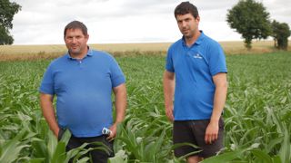 Faisant suite aux essais, Mathieu et Hugues Gérard pourraient introduire du seigle dans leurs cultures dérobées.