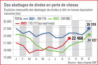 abattages de dindes en France