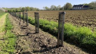 Les planètes s’alignent en faveur des haies : après un appel et un pacte dédiés, un colloque se prépare au sein du palais du Luxembourg, à Paris, fin janvier.