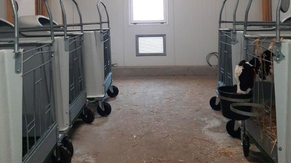 Pouponnière pour veaux nouveaux nés Pouponnière pour veaux nouveaux nés