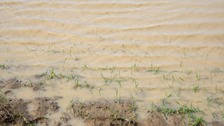 Agrica renouvelle son aide d’urgence pour les salariés victimes des inondations dans le nord de la France. Agrica renouvelle son aide d’urgence pour les salariés victimes des inondations dans le nord de la France.