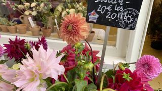 L'observatoire de la production française recensait en 2021 278 entreprises spécialisées, cultivant 183 millions de tiges de fleurs, principalement dans les régions Paca et Pays de la Loire.