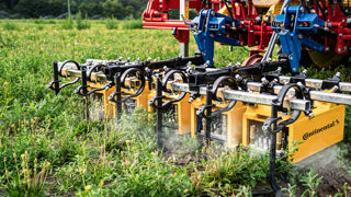 Continental a développé un dispositif de destruction des adventices en postlevée, avec de l'eau portée à ébullition. Continental a développé un dispositif de destruction des adventices en postlevée, avec de l'eau portée à ébullition.