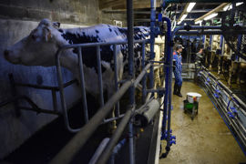 Le fermier peut transmettre son bail à son conjoint, à son partenaire lié par un pacs participant à l’exploitation des terres louées ou à un descendant majeur ou émancipé. Le fermier peut transmettre son bail à son conjoint, à son partenaire lié par un pacs participant à l’exploitation des terres louées ou à un descendant majeur ou émancipé.