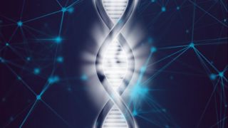 La position exprimée par la commission de l’environnement, de la santé publique et de la sécurité alimentaire du Parlement sur les nouvelles techniques génomiques (NTG) fait débat. La position exprimée par la commission de l’environnement, de la santé publique et de la sécurité alimentaire du Parlement sur les nouvelles techniques génomiques (NTG) fait débat.