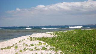 L'île aux prunes offre aux voyageurs une journée hors du temps entre vert de la forêt tropicale, blanc de la plage de coraux et bleu de l’océan Indien. L'île aux prunes offre aux voyageurs une journée hors du temps entre vert de la forêt tropicale, blanc de la plage de coraux et bleu de l’océan Indien.