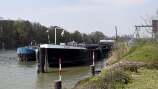 Haropa Port, le premier port français qui réunit les structures de Rouen, du Havre et de la Région parisienne, a enregistré une baisse de 14 % des exportations de céréales en 2023, à 7,3 millions de tonnes, en retrait de 1 million de tonnes sur un an. Haropa Port, le premier port français qui réunit les structures de Rouen, du Havre et de la Région parisienne, a enregistré une baisse de 14 % des exportations de céréales en 2023, à 7,3 millions de tonnes, en retrait de 1 million de tonnes sur un an.