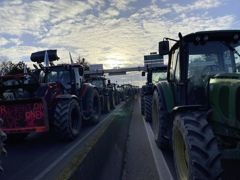 60 tracteurs de la FDSEA et JA de la Loire-Atlantique bloquent le pont de chéviré à Nantes. 60 tracteurs de la FDSEA et JA de la Loire-Atlantique bloquent le pont de chéviré à Nantes.