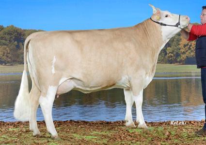  FRIVOLE (NINERON AA x AELPLER) à Christen Gilbert, 1400 Cheseaux-Noréaz, Grande championne