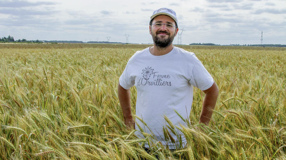 Pour cultiver des blés sur des sols vivants, il faut adapter tout le travail de création variétale, selon Adrien Pelletier, agriculteur qui a entamé un travail inédit de sélection 100 % bio.