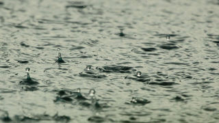 Vent, pluie et températures douces sont prévus le mercredi 7 février 2024 par Météo-France. Vent, pluie et températures douces sont prévus le mercredi 7 février 2024 par Météo-France.