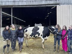 Six élèves de la Bergerie nationale de Rambouillet et leur prim'holstein participent au TIEA 2024. Six élèves de la Bergerie nationale de Rambouillet et leur prim'holstein participent au TIEA 2024.