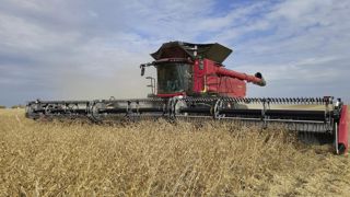 L'AF 11 de Case IH embarque un moteur de 776 ch et une trémie de 20 000 litres. L'AF 11 de Case IH embarque un moteur de 776 ch et une trémie de 20 000 litres.
