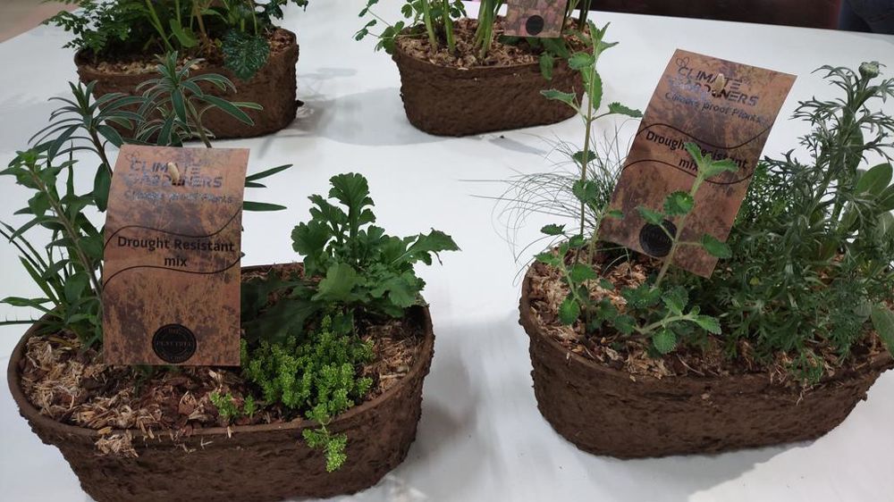 En 2024, le Discovery Center, espace découverte des tendances et concepts marketing, était très axé sur la réduction de l’impact des produits horticoles et le renouvellement des gammes de végétaux (adaptation au changement climatique…).